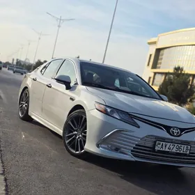 şafer,  (шафер)