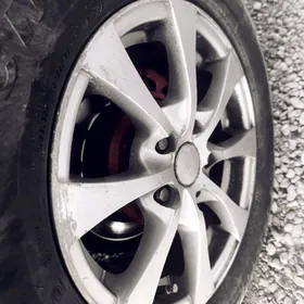 15 lik diska pokriska obmen