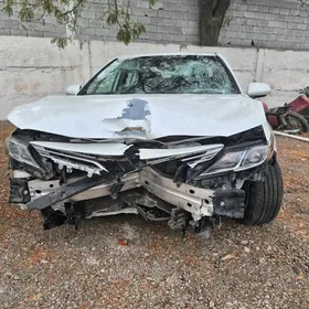 Kamry 2020 mator2.5 karopga