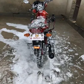 Fekon FK200-14G 2025