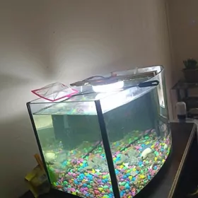 аквариум 22л