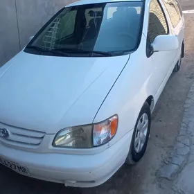 Toyota Sienna 2001