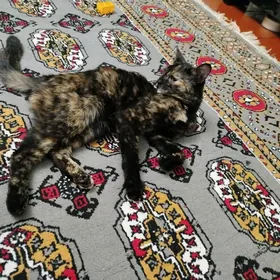 добрые руки