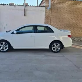 Toyota Corolla 2010