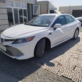 Toyota Camry 2019