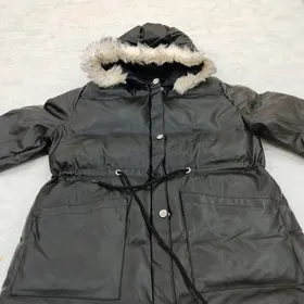 kurtga tazeje geyilmedik