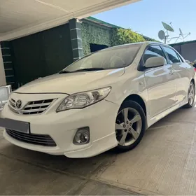 Toyota Corolla 2010