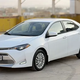 Toyota Corolla 2019