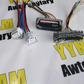 Fara, partronik shtekrlar