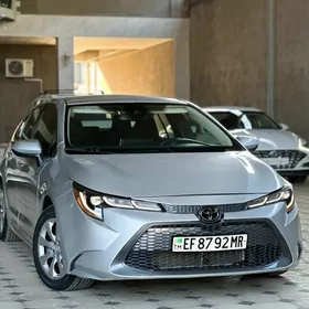 Toyota Corolla 2020