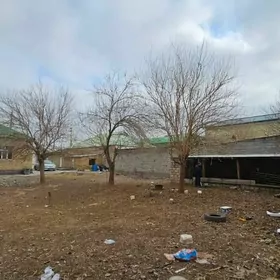 satlyk jay garadamak