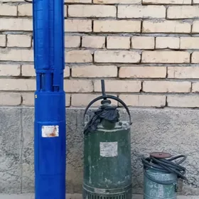 skwažni nasos yskbajny