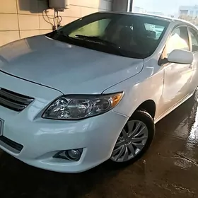 Toyota Corolla 2010