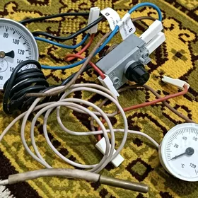 Termometr boýler üçin