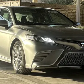 Toyota Camry 2020