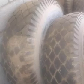 teker pakryşka uly m