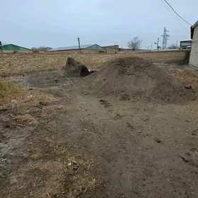 6sotok Tolstoy koce yolun ugry