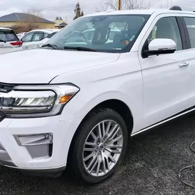 Ford Expedition 2022