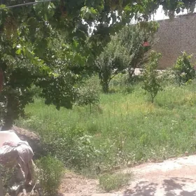 Сакар этрап