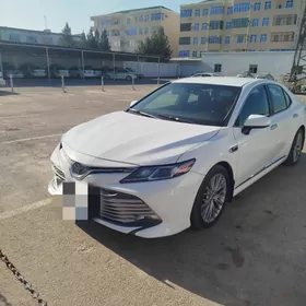 Toyota Camry 2019