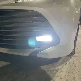 Tumannik Camry Highlander