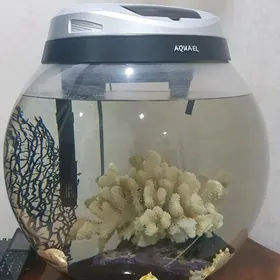 Аквариум "Aqwaell"