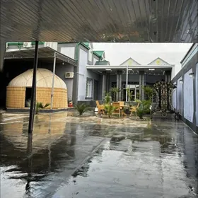 Arenda Coganly Oglanlara