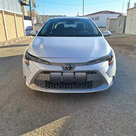 Toyota Corolla 2022