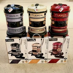 tozan sorujy plesos plisos