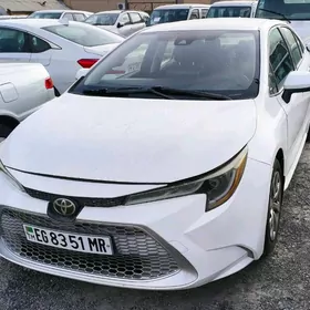 Toyota Corolla 2019