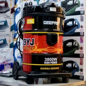 tozan sorujy plesos palisos