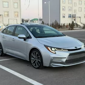 Toyota Corolla 2021