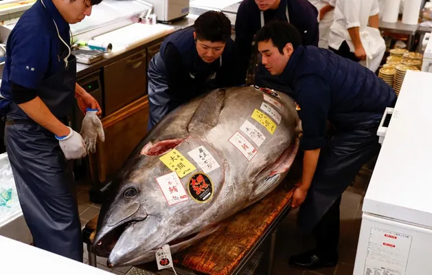 Ýaponiýada äpet gök tunes balygy rekord derejedäki 3,2 million dollara satyn alyndy