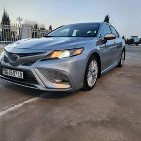 Toyota Camry 2020