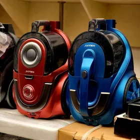 tozan sorujy plesos palisos