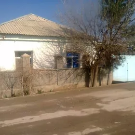 Änew plan satlyk jaý