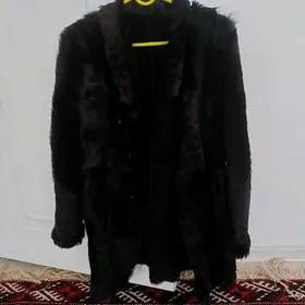 Tigrowyý dibulýonka