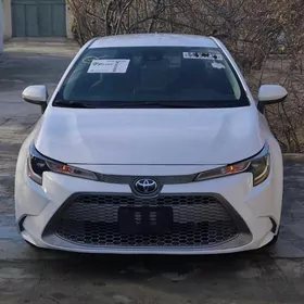 Toyota Corolla 2022