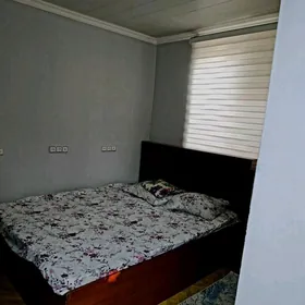 Satlyk howly jay kruk