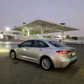 Toyota Corolla 2019