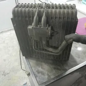 кандисанер