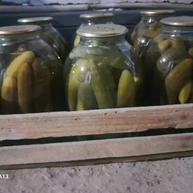 БАНКА САЛЙОННИ