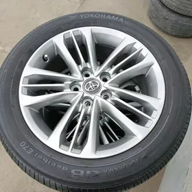 Aziyada disga pakrişga 17