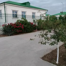 TAZE ZAMAN ️ тазе заман