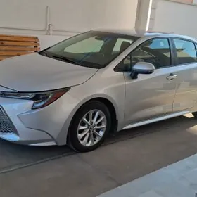 Toyota Corolla 2020