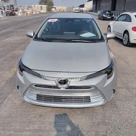 Toyota Corolla 2024