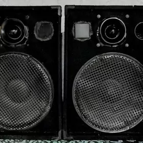 kalonka 15lik pazusga