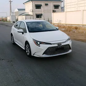 Toyota Corolla 2021