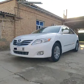 Toyota Camry 2010