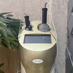 эндосфера/endosfera